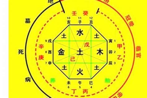 八字有將星|【將星 神煞】將星神煞：八字命盤中的軍旅將才